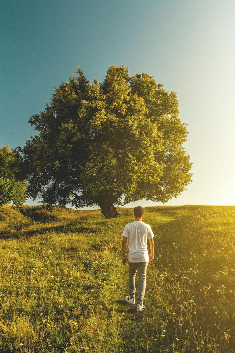 Caminar al aire libre